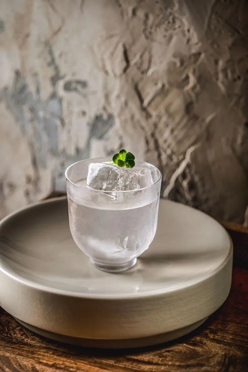 A glass of water with ice and a green leaf