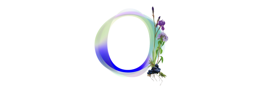 The letter o is decorated with flowers and leaves